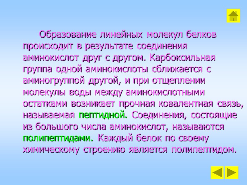 Образование линейных молекул белков происходит в результате соединения аминокислот друг с другом. Карбоксильная группа